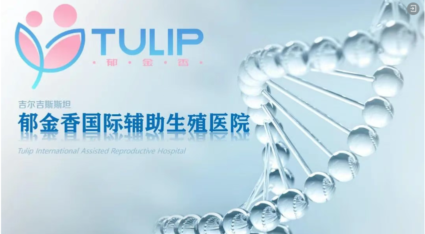 4c3d8ec0cdd31173dfd16fc6116bedf